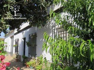 Solar en venta en Palma del Río