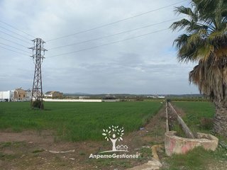Solar en venta en Palma del Río
