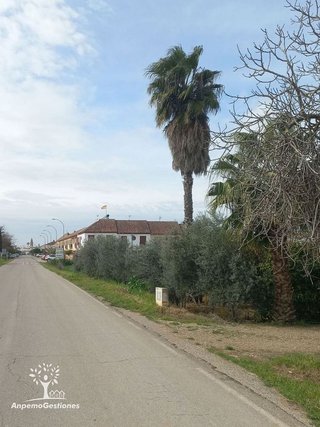 Solar en venta en Palma del Río