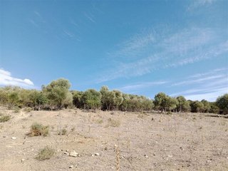 Terreno en venta en Casares