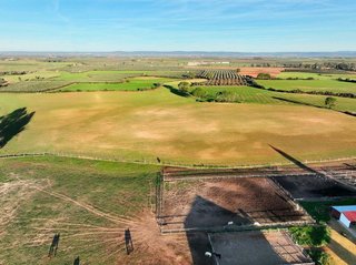 Solar en venta en Carmona
