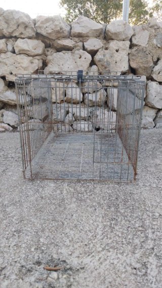 Jaula para animales metálica (conejos, palomas...)