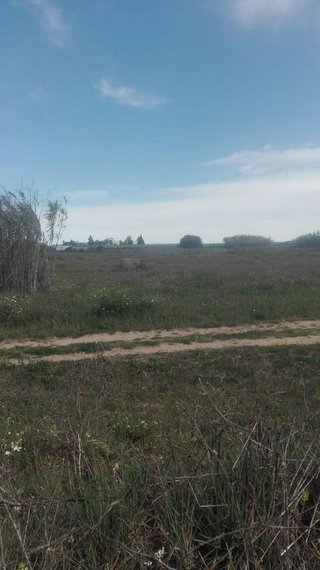 Casa rural en venta en Palma del Condado (La)