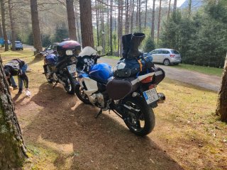 Suzuki gsx650f