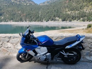 Suzuki gsx650f