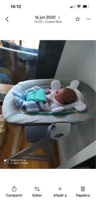 Trona Hauck para bebé y niño