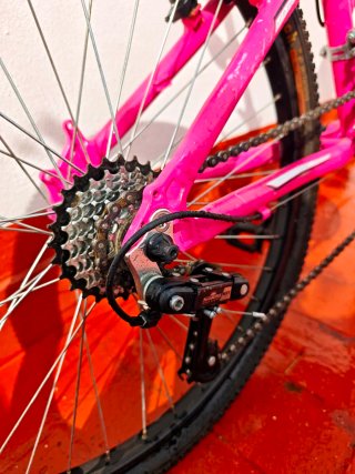 Bicicleta Montaña Junior BIOCYCLE ELIXIR 24