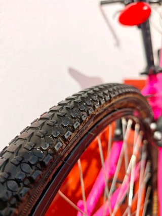Bicicleta Montaña Junior BIOCYCLE ELIXIR 24