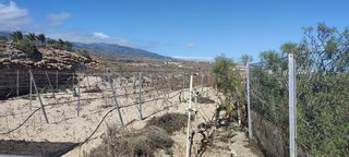 Terreno en venta en El Desierto en Granadilla de Abona