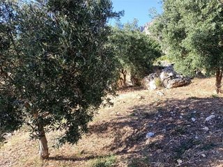 Terreno en venta en Casares