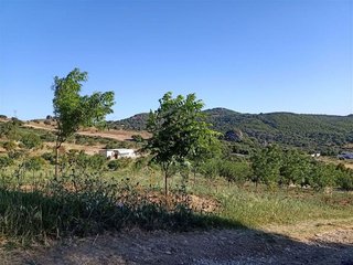 Terreno en venta en Casares