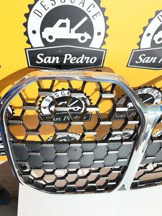 Rejilla Frontal BMW