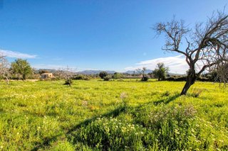 Terreno en venta en Artà en Artà