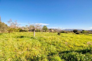 Terreno en venta en Artà en Artà