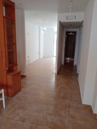 Autónomo Pintor Manitas económico Mallorca