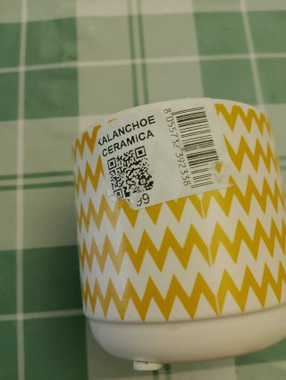 Due contenitori in ceramica