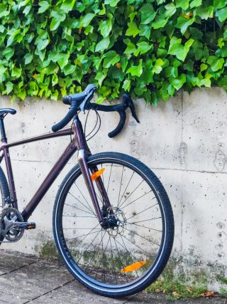 Cannondale Topstone