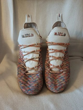 Zapatillas Nike LeBron Multicor