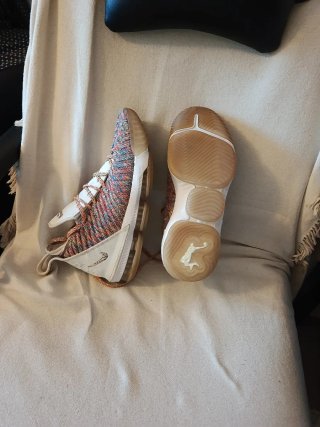 Zapatillas Nike LeBron Multicor