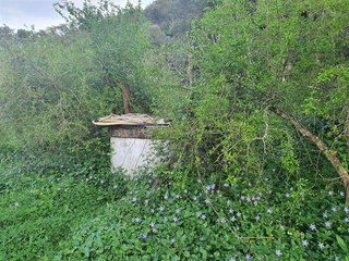 Casa rural en venta en Jimena de la Frontera