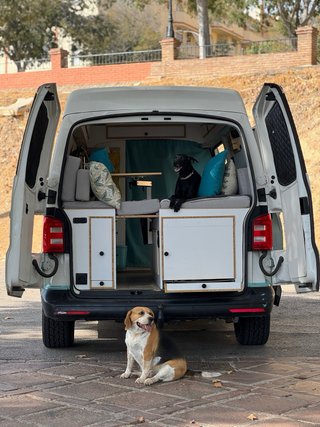 Volkswagen Transporter T6 2017 4motion