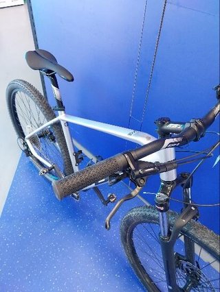 BH Spike 29"