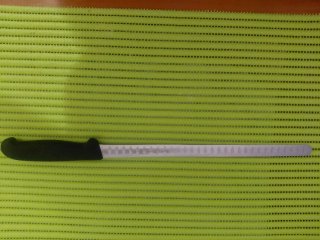 Cuchillo Jamonero Filum 30 cm (12) profesional