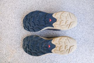 Salomon Elixir Activ Zapatillas - EU 44 2/3