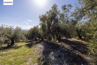 Terreno en venta en Dúrcal