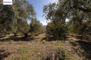 Terreno en venta en Dúrcal