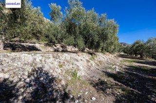 Terreno en venta en Dúrcal