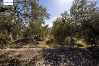 Terreno en venta en Dúrcal