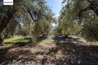 Terreno en venta en Dúrcal