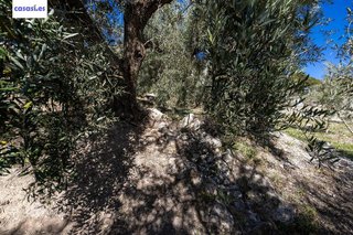 Terreno en venta en Dúrcal