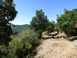Terreno en venta en Cabanyes-Mas Ambrós-Mas Pallí en Calonge