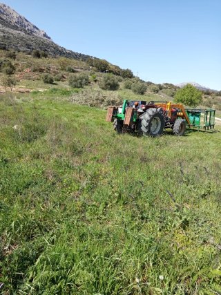 Tractor Same Frutteto 75 II