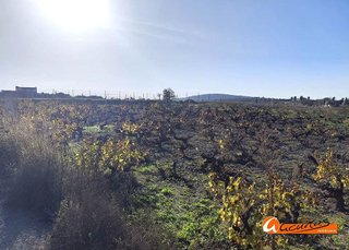 Solar en venta en Aguilar de la Frontera