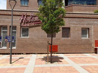 Local comercial en venta en Primera Fase - Nuevo Tres Cantos en Tres Cantos