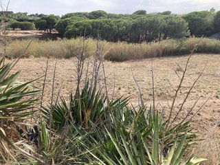Terreno en venta en Les Creus-Can Feliu de Merola-Can Moré en Pineda de Mar
