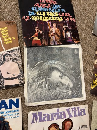 Lote de discos vinilo variados