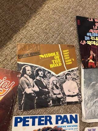 Lote de discos vinilo variados