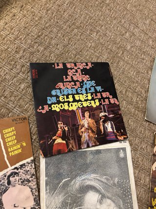 Lote de discos vinilo variados