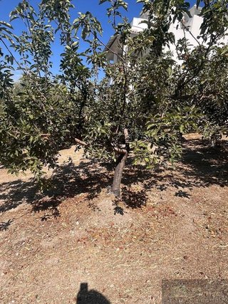 Casa rural en venta en Rute