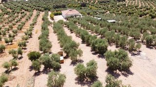 Casa rural en venta en Montellano