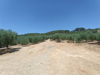 Casa rural en venta en Montellano