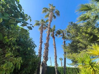 Chalet en venta en La Siesta - El Salado - Torreta en Torrevieja