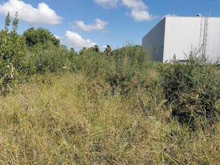 Terreno en venta en Campos