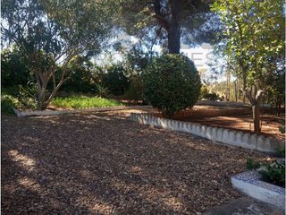 Chalet en venta en Almendralejo