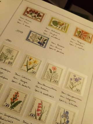 Francobolli "Fiori Europei"