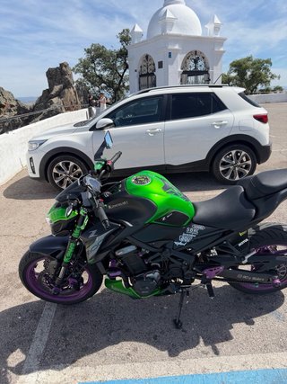 Kawasaki Z900e 2019